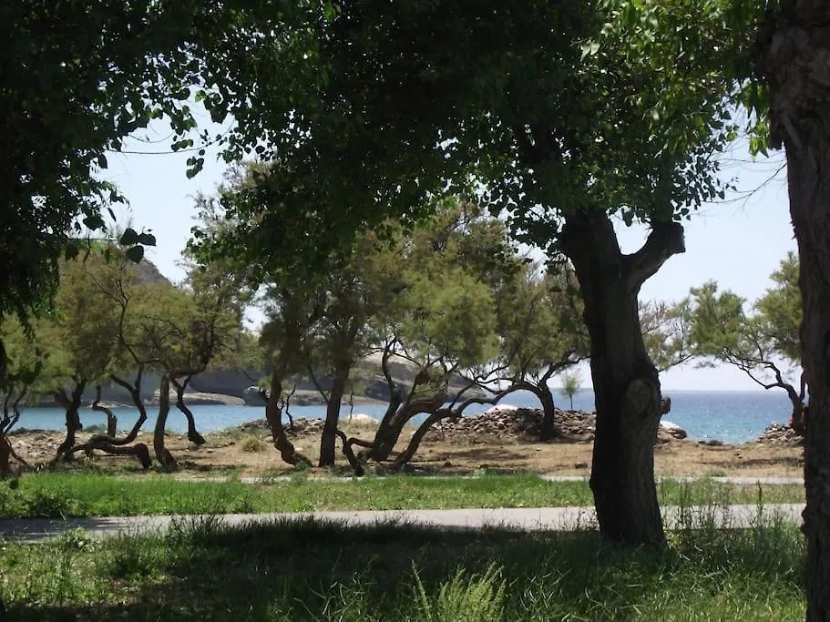 בית נופש Querce  Casa Vacanze Sa Rocchitta איטליה
