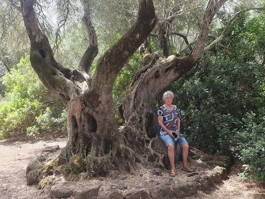 Querce  Casa Vacanze Sa Rocchitta בית נופש