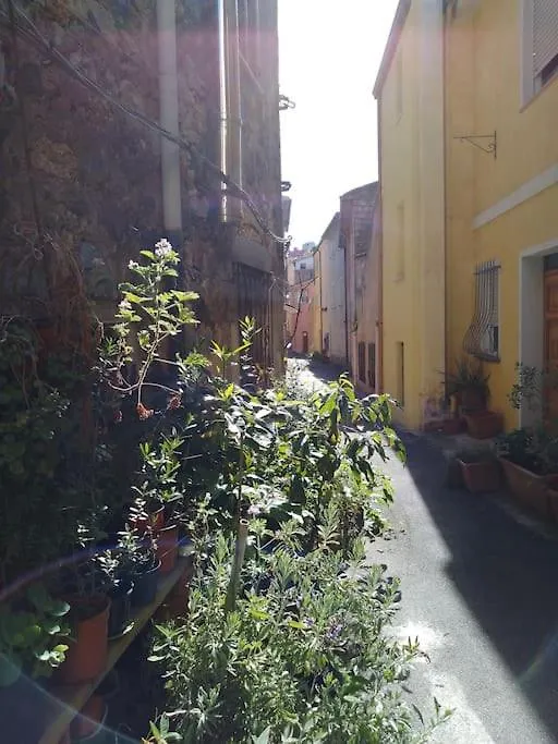 Casa Vacanze Sa Rocchitta Querce